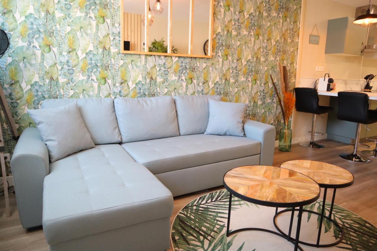 Appartement 1 Chambre Ambiance Tropicale - Centre De Bourbourg, Terrasse Privee Extérieur photo